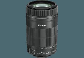 CANON EF-S 55-250mm f/4-5.6 IS STM Telezoom für Canon EF-S (55 mm- 250 mm, f/4-5.6), CANON, EF-S, 55-250mm, f/4-5.6, IS, STM, Telezoom, Canon, EF-S, 55, mm-, 250, mm, f/4-5.6,