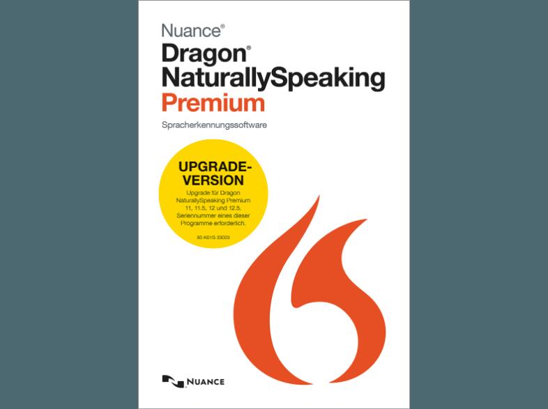 download dragon naturally speaking 13