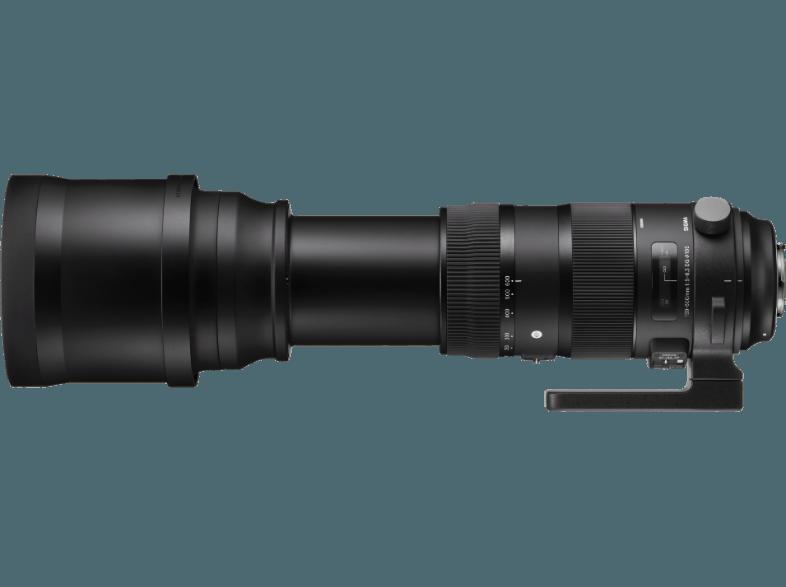 SIGMA 150-600mm F5-6,3 DG OS HSM Canon Telezoom für Canon (150 mm- 600 mm, f/5-6.3), SIGMA, 150-600mm, F5-6,3, DG, OS, HSM, Canon, Telezoom, Canon, 150, mm-, 600, mm, f/5-6.3,