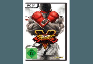 Street Fighter 5 [PC]